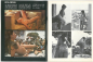 Preview: Cine Eros Star - Nr. 15 (Russ Meyer, Ornela Muti)